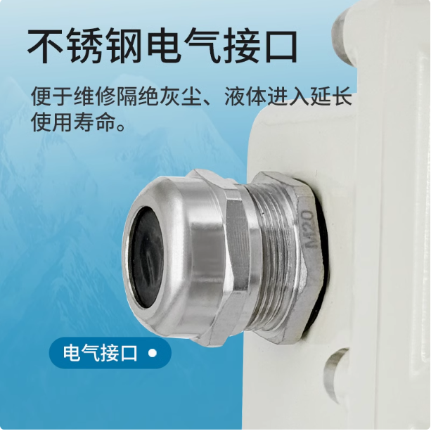 LLQ气体罗茨腰轮流量计