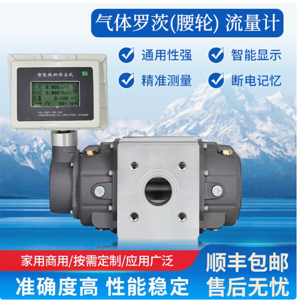 LLQ-80气体罗茨腰轮流量计