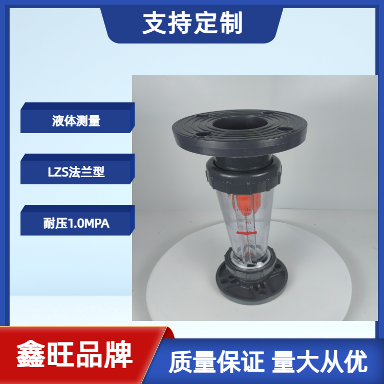 LZS-150塑料管浮子流量计...